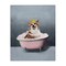 Stupell Industries Corgi in Pink Bath Canvas Wall Art Design by Svetlana Aleynikova